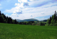 Novinky z lesní správy Vsetín