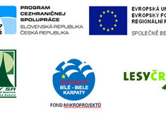 Úspěšná spolupráce Lesů České republiky a Lesů Slovenské republiky: 16 dřevěných soch lesní zvěře v životní velikosti na lesnické naučné stezce „Okolo Buchlova“