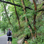 lt-1-petra-cermakova-453