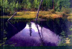 Přírůstky v technické knihovně Ředitelství LČR