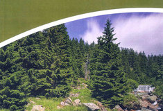 Přírůstky v technické knihovně Ředitelství LČR