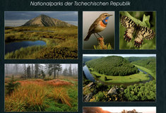 Přírůstky v technické knihovně Ředitelství LČR