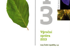 Přírůstky v technické knihovně Ředitelství LČR