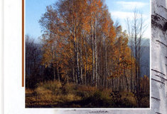 Přírůstky v technické knihovně Ředitelství LČR