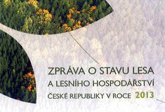 Přírůstky v technické knihovně Ředitelství LČR