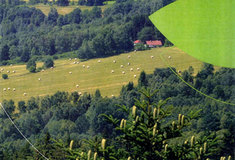 Přírůstky v technické knihovně Ředitelství LČR