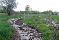 Lesy ČR vrátily Maňavský potok na Českokrumlovsku přírodě