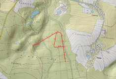 V lese u Nasavrk se připravuje rekonstrukce lesní cesty, pozor na střet s těžkou technikou