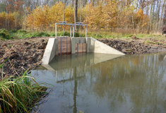 Lesy ČR dokončily revitalizaci vodního toku Medvídka v lužním lese na Hodonínsku