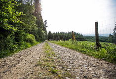 Nová metodika z Mendelovy univerzity pomůže při stavbě cest šetřit peníze