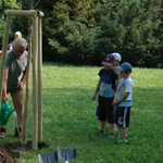 mff_zlin_sazeni_feststromu_040608-00