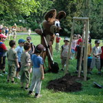 mff_zlin_sazeni_feststromu_040608-03