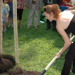 mff_zlin_sazeni_feststromu_040608-13