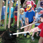 mff_zlin_sazeni_feststromu_040608-17