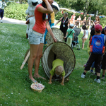 mff_zlin_sazeni_feststromu_040608-23a