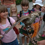 mff_zlin_zoo_lesna_030608-018