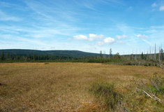 Nejvýznamnější rašeliniště Jizerských hor zařazena na seznam mokřadů mezinárodního významu