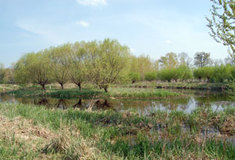 Tři nová chráněná území