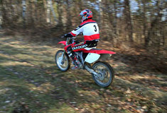 Nezvaní vetřelci v&nbsp;našich lesích