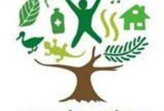 Co pamatuje strom a co lidé zapomněli ?