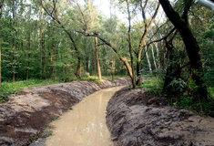 Soustava zavodňovacích kanálů v Mušovském luhu obnovena s využitím zdrojů EU