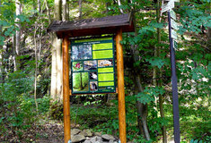 Procházka po lesní naučné stezce u Třemošnice je nenáročná a příjemná