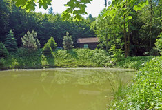 Vodní nádrž Dohnalík