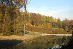 Vodní nádrž Hluboká pozitivně ovlivňuje životní prostředí