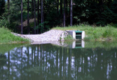 Vodní nádrže jako podpora biodiverzity na LS Jablunkov