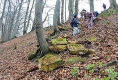 Co všechno lze najít v lese…