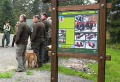 Podnik Lesy ČR otevřel na Klatovsku naučnou stezku