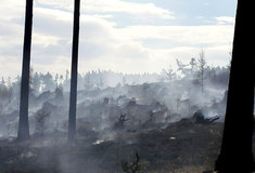 Podnik Lesy ČR varuje před zvýšeným rizikem vzniku požárů