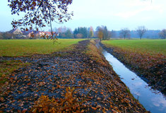 Provádění údržbových pracích na vodních tocích v areálu Národního Hřebčína Kladruby nad Labem