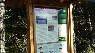 Nejen pro handicapované