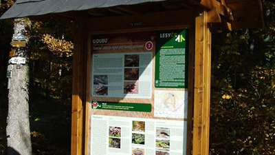 Nejen pro handicapované