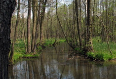 Středočeské Mladoboleslavsko má novou naučnou stezku pro rodiny s dětmi