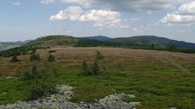 Světem horských luk