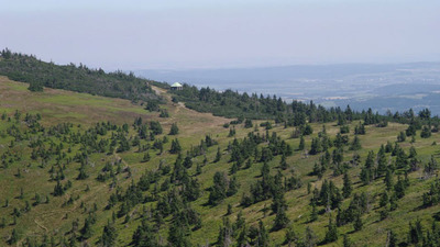 Světem horských luk