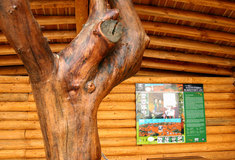 Lesy ČR získaly ocenění od města Moravská Třebová za spolupráci při rozvoji cestovního ruchu