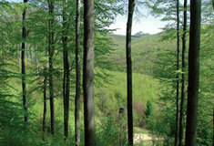 U Buchlova otevřeli vylepšenou naučnou stezku, prvními návštěvníky byli školáci