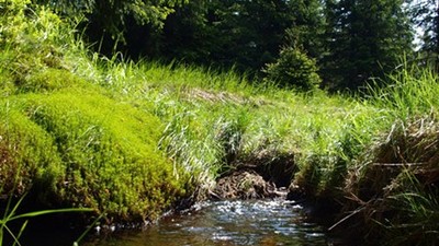 Technicko-přírodní naučná stezka Černá Nisa