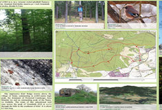 Českokrumlovsko bude mít díky Lesům ČR další naučnou stezku: GRANÁTNÍK