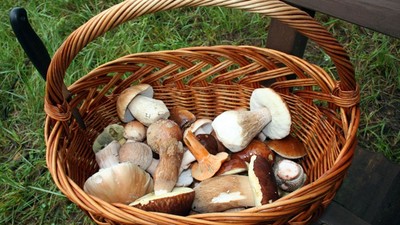 Okolím Karlovských rybníků za poznáním