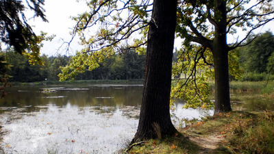 KOLEM KOCHÁNOVICKÝCH RYBNÍKŮ