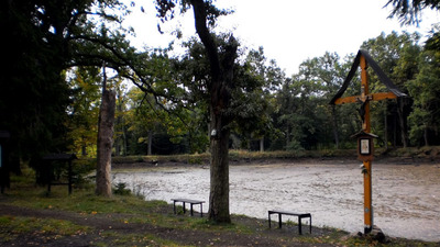 KOLEM KOCHÁNOVICKÝCH RYBNÍKŮ