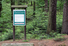 Lesy ČR rekonstruují Naučnou stezku Klokočná u Říčan ve Středočeském kraji