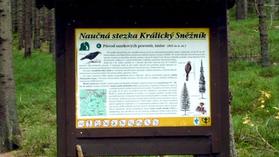 Kralický Sněžník