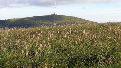 Se skřítkem okolím Pradědu