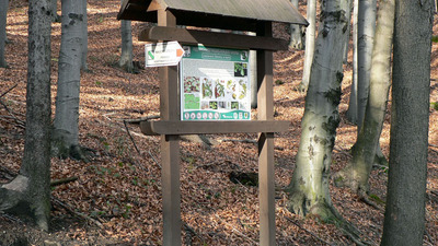 Příroda Hostýnských vrchů