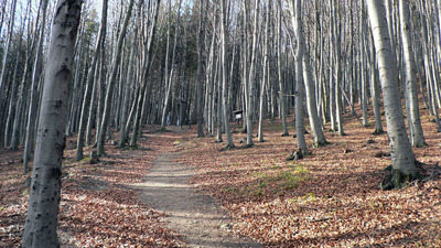 Příroda Hostýnských vrchů